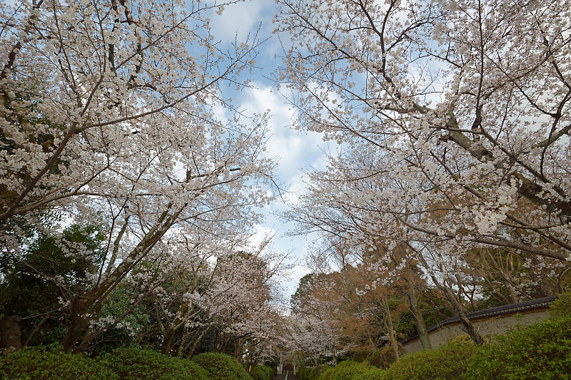 f0032011_18440667.jpg
