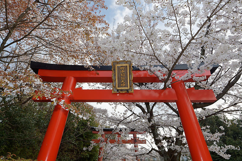 f0032011_19543545.jpg