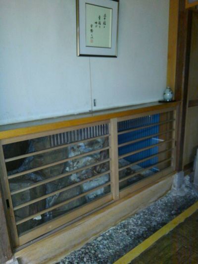 不法侵入者発見!?_e0234016_10114264.jpg