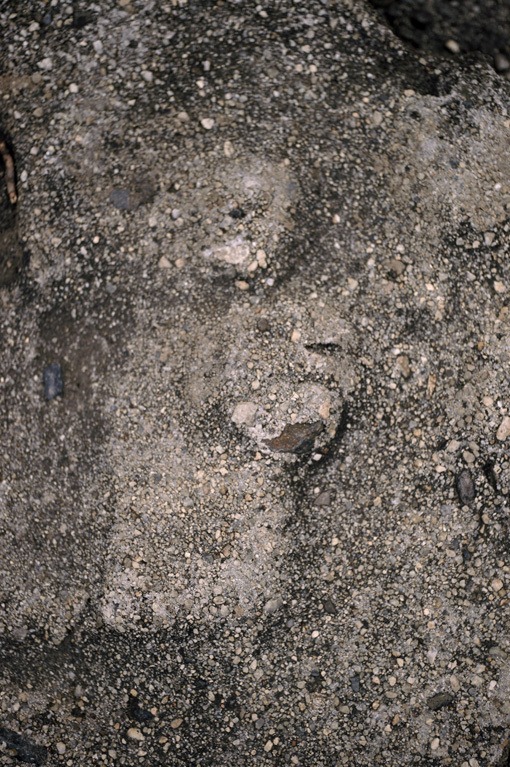 b0226423_16422166.jpg