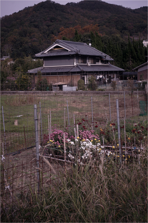 b0226423_16444355.jpg