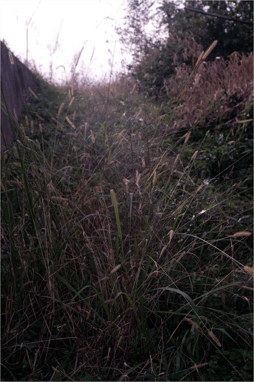 b0226423_16453955.jpg