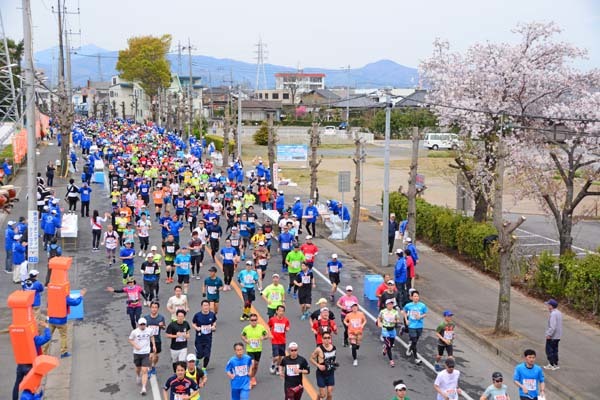 かすみがうらマラソン 兼 国際盲人マラソン 2019_f0147025_12454036.jpg