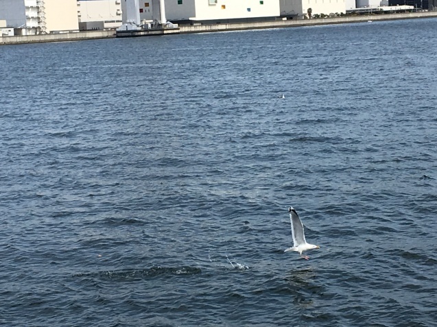 b0094029_05580030.jpeg
