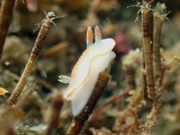 d0164831_16302080.jpg