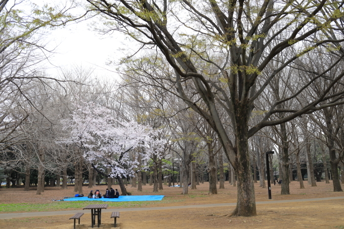 【東京メトロ　千代田線】part 1_f0348831_13490679.jpg