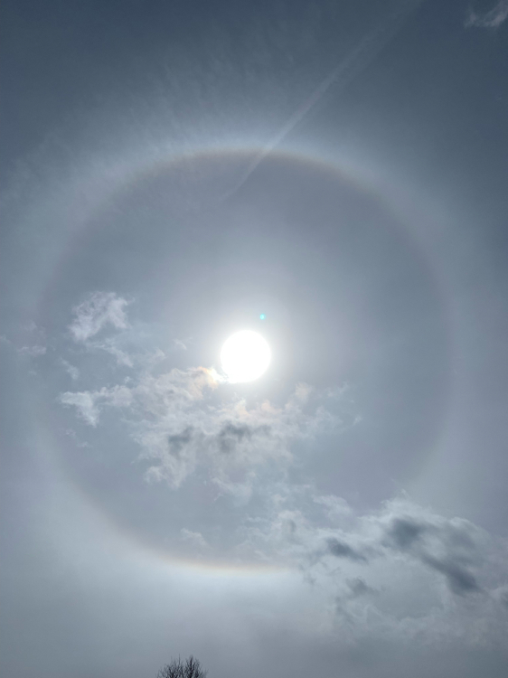 e0069433_23133416.jpg