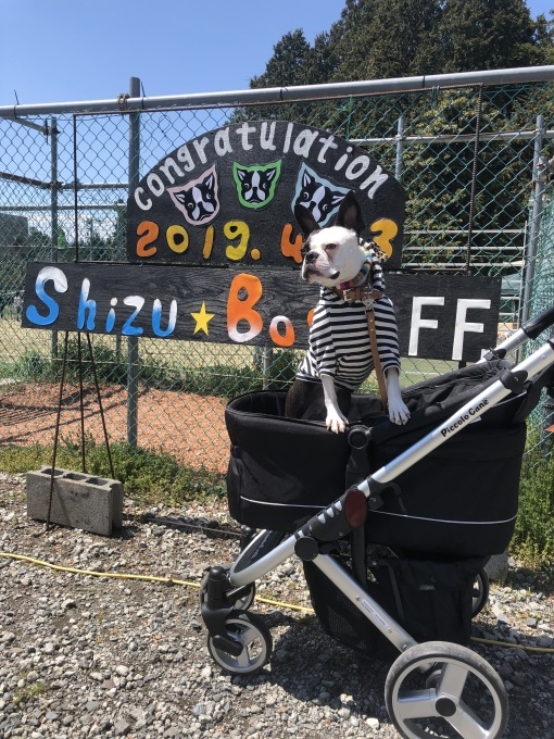 b0369239_17011038.jpeg