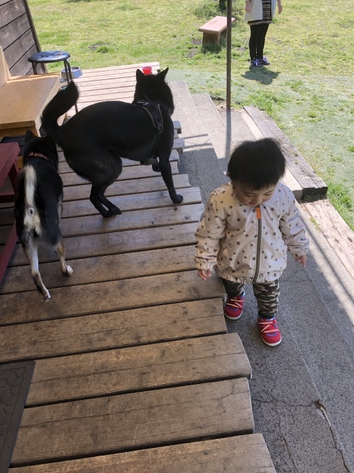 b0369239_17105150.jpeg