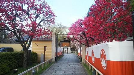b0080342_16501114.jpg