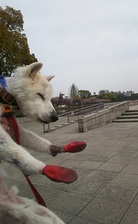 浮間公園と浮間ヶ原桜草圃場_b0080342_16521944.jpg