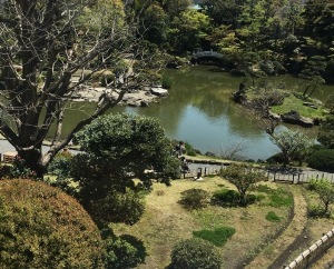 日本刀と桜(午前)_f0152544_10050326.jpg