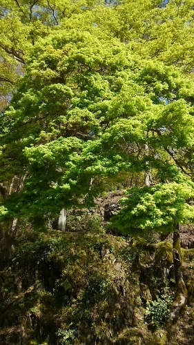 c0356158_14154094.jpg