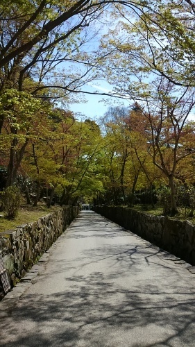 c0356158_14155330.jpg