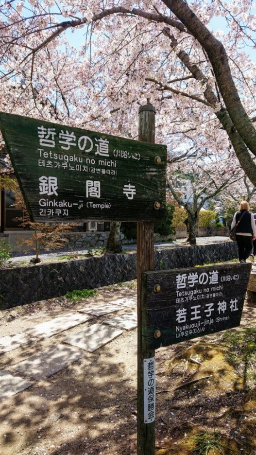 京都の銀閣寺&哲学の道_e0249060_16160113.jpg