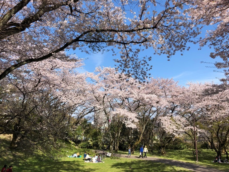 ４月１３日　琵琶湖畔でのんびり過ごす_a0023466_08464245.jpg