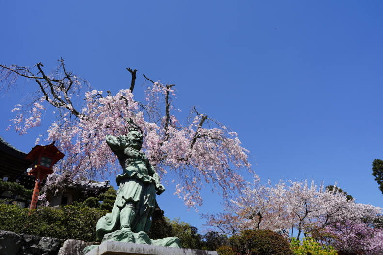 願わくば花の下にて 勝持寺から正法寺へ Shojiji Temple ほぼ京都人の密やかな眺め Excite Blog版