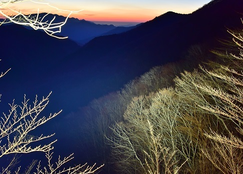 二上山の桜と木梶山の芽吹き前の色合い_c0303868_04272808.jpg