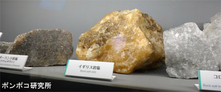 たばこと塩の博物館（１）_e0073268_958644.jpg