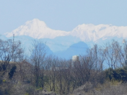 鏑川でマス釣り 又三郎のひとり歩き 鏑川でマス釣り 又三郎のひとり歩き