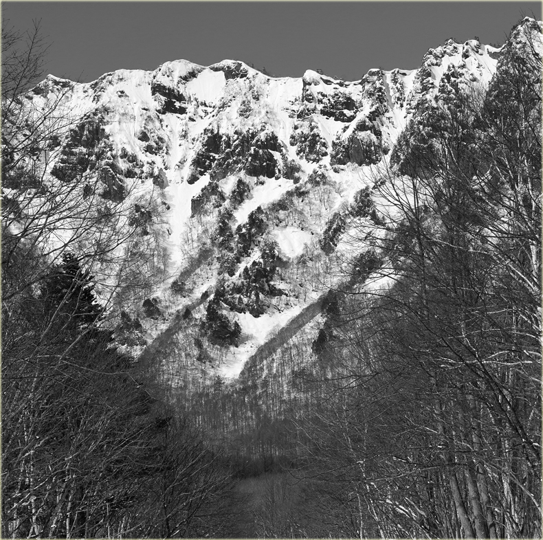 c0229384_11425320.jpg