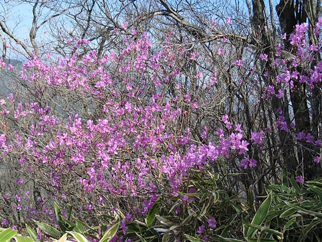 f0357487_14435000.jpg