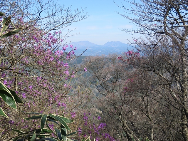f0357487_14472623.jpg