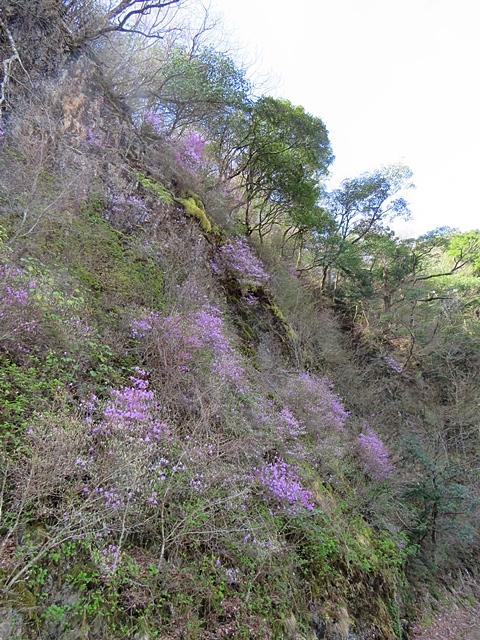 f0357487_14513668.jpg