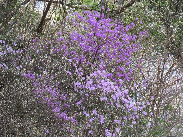 f0357487_14521173.jpg