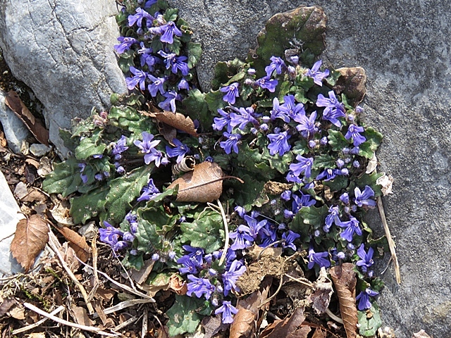 f0357487_14562479.jpg