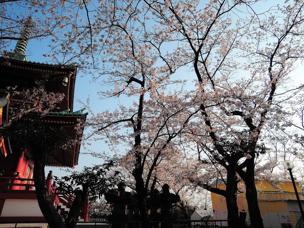 ある風景：Kodo-san temple, Yokohama@Spring #3_b0400788_21061434.jpg