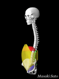f0074992_15031660.gif