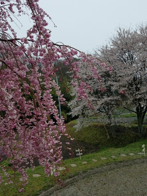 b0321595_22421935.jpg