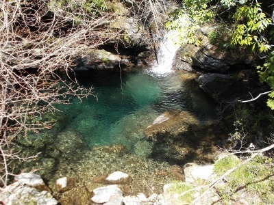 f0308898_20483845.jpg