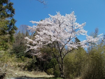f0308898_20515012.jpg