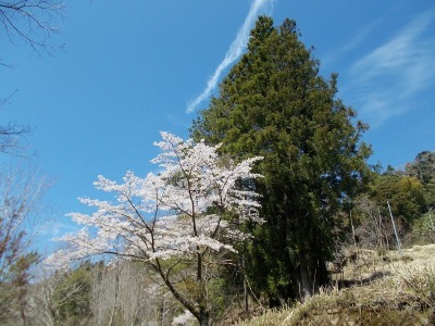 f0308898_20515036.jpg
