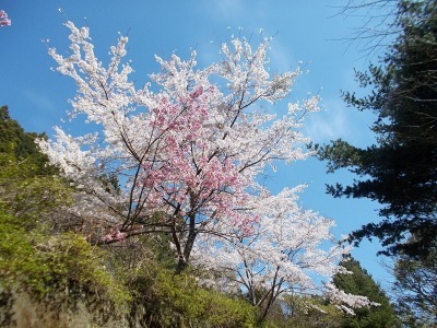 f0308898_20515110.jpg