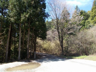 f0308898_20515163.jpg