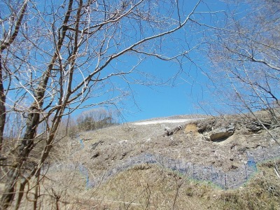 f0308898_20515230.jpg