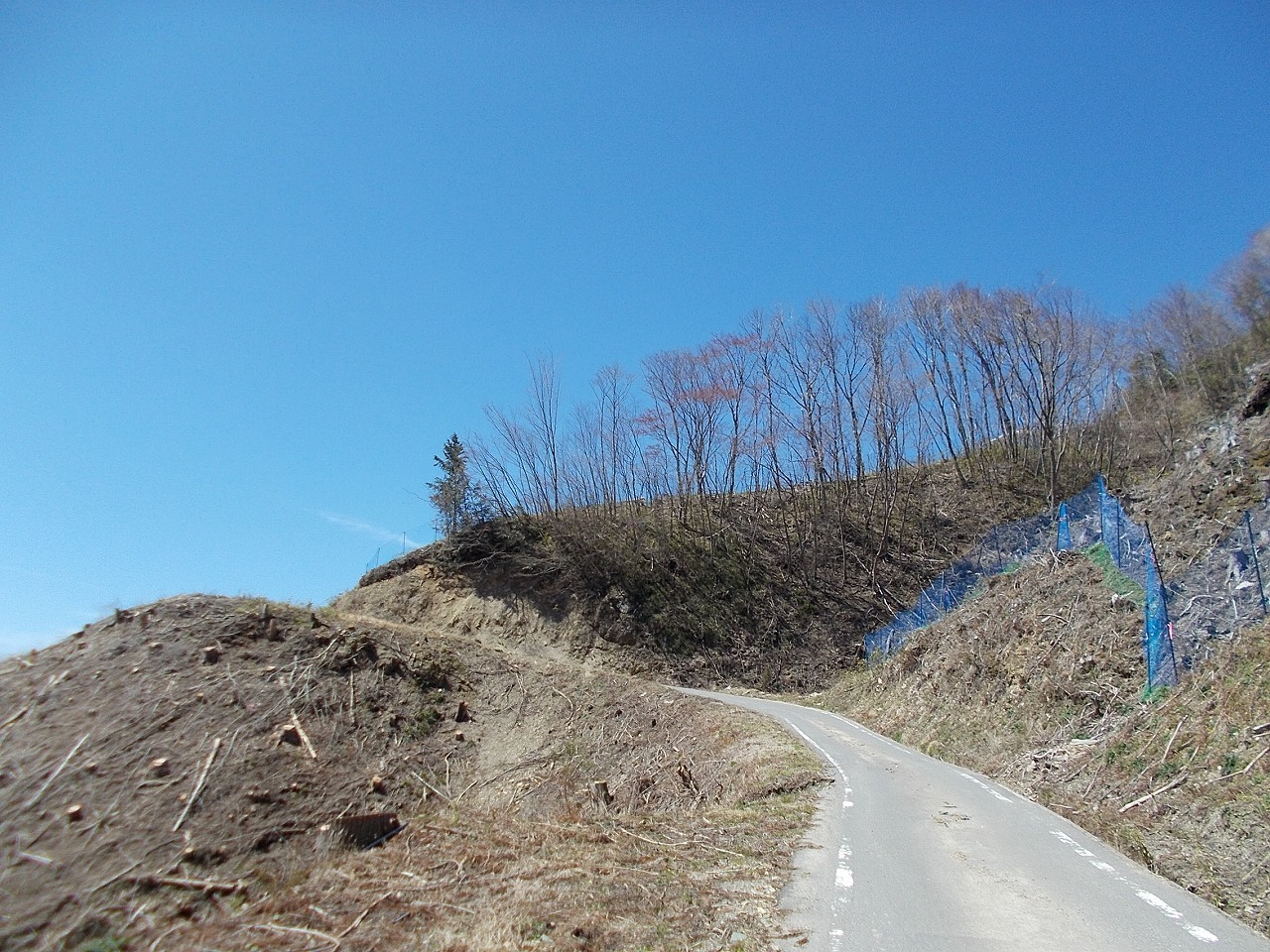 f0308898_20515278.jpg