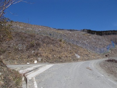 f0308898_20530476.jpg