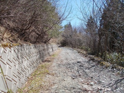 f0308898_20530603.jpg