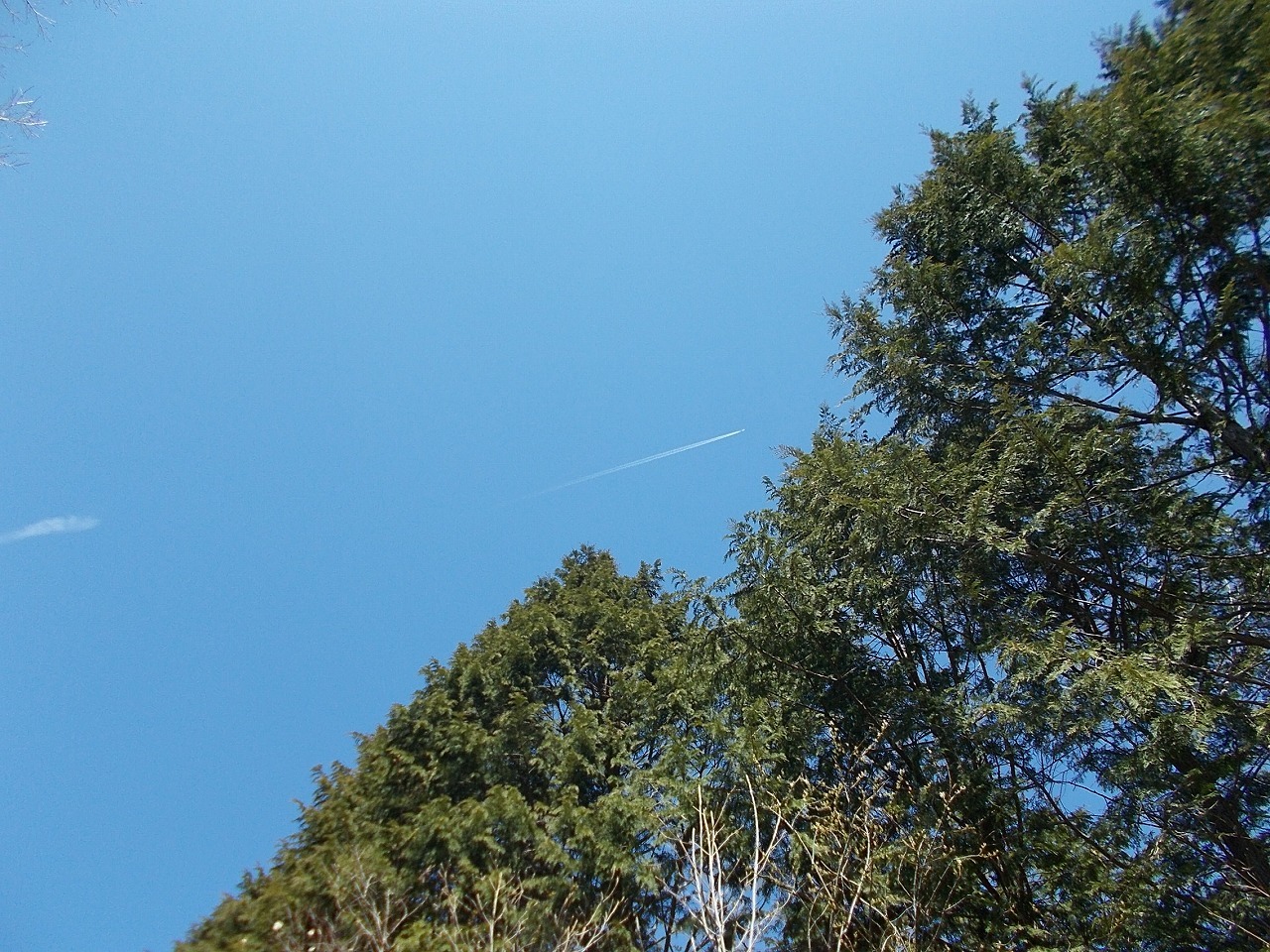 f0308898_20530647.jpg