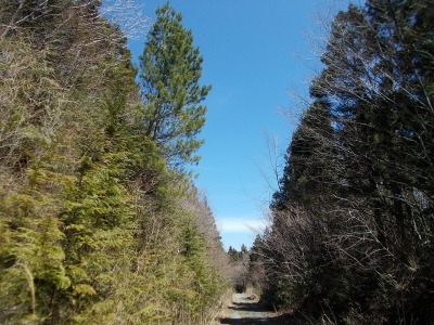 f0308898_20535976.jpg