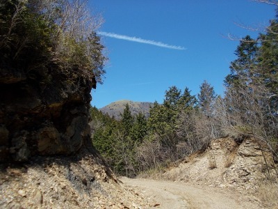 f0308898_20540015.jpg