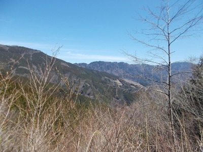 f0308898_20540129.jpg