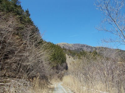 f0308898_20540170.jpg