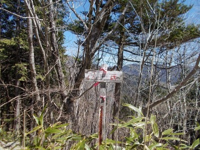 f0308898_20540173.jpg