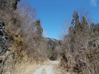f0308898_20564611.jpg