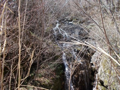 f0308898_20564731.jpg